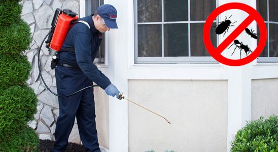 Gölcük Fare İlaçlama böcek ilaçlama ve haşere kontrolü — ilaclama-tr.com